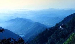 洗剪吹最新动态爆料,最新动态揭秘行业新趋势